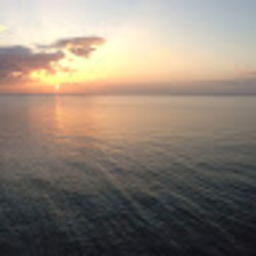 Meet your Posher, Mangodesk11